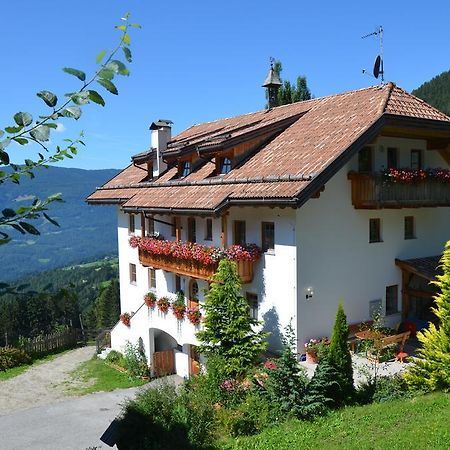 Baerntalerhof Villa Falzes Exterior foto