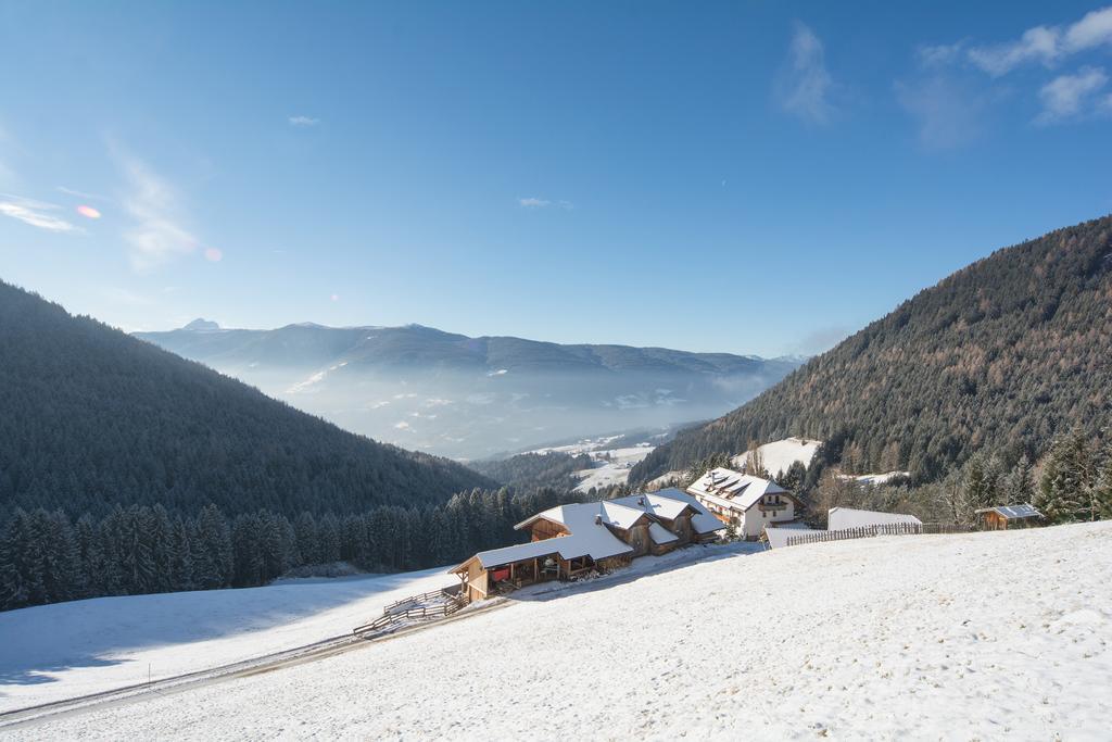 Baerntalerhof Villa Falzes Exterior foto